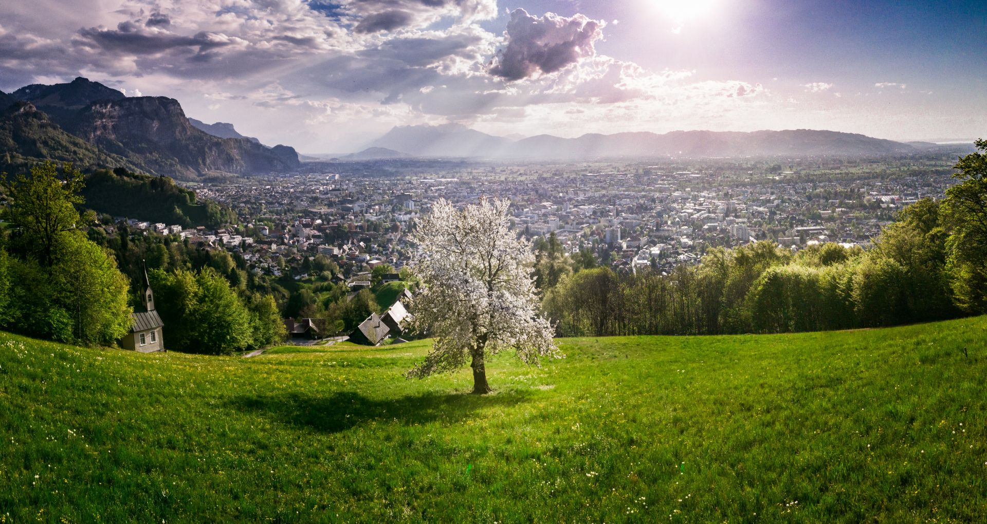 Ausblick auf Dornbirn im Frühjahr Dornbirn Ausblick Frühling