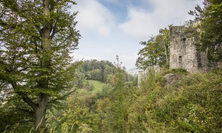 Ruine Alt-Ems Ruine Alt-Ems