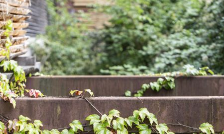 Inatura Dornbirn Inatura Dornbirn