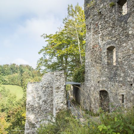 Ruine Alt-Ems Ruine Alt-Ems