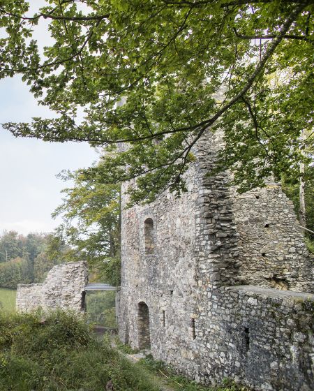 Ruine Alt-Ems Ruine Alt-Ems