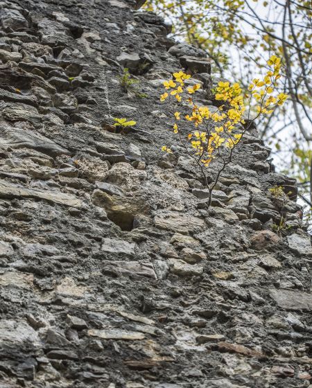 Ruine Alt-Ems Ruine Alt-Ems