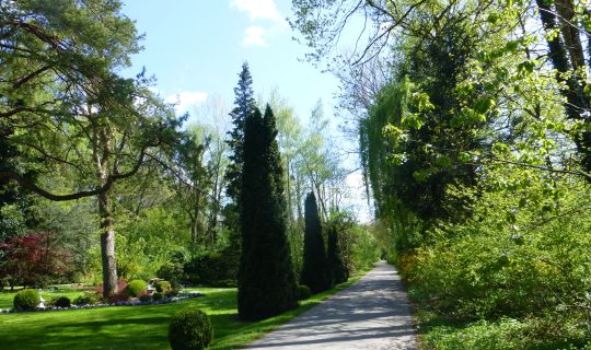 Am Rheinauweg Am Rheinauweg