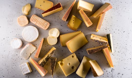 Käse-Variation Käse-Variation