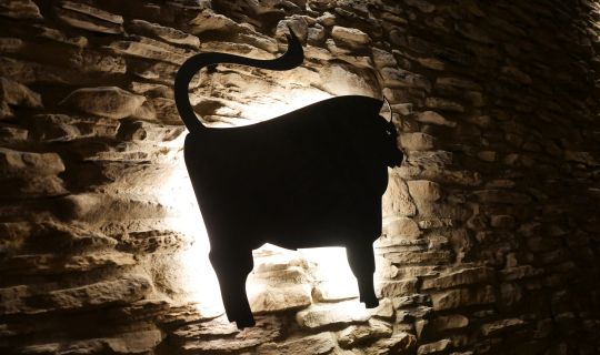 Café Schatz Café Schatz