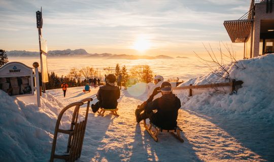 Sonnenuntergang Pfänder Rodel Sonnenuntergang Pfänder Rodel