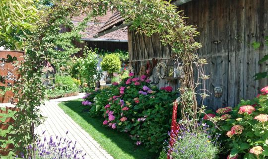 Gasthof Hotel Mohren Gasthof Hotel Mohren