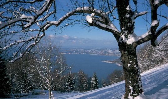 Helmut Tiefenthaler Ausblick vom Hintermoos