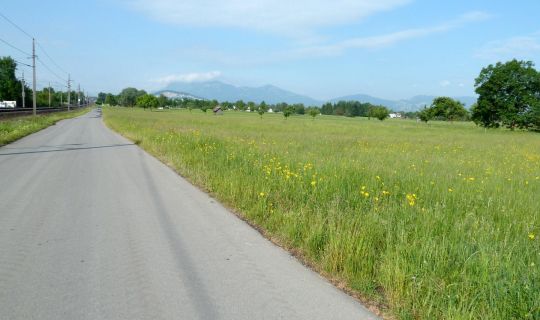 Der Radweg entlang der Bahnschienen Der Radweg entlang der Bahnschienen