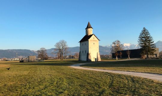 Cornelia Mathis-Rothmund __NO_NAME__