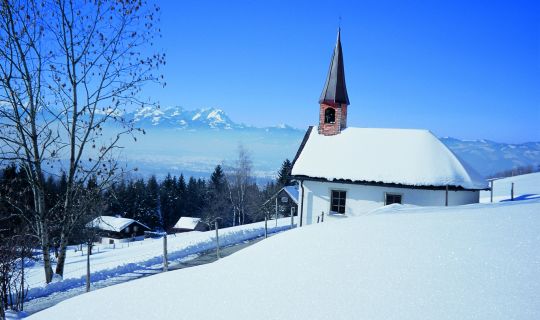 Helmut Tiefenthaler Geisbirn/Bildstein