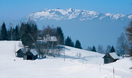 Helmut Tiefenthaler Ãbersaxen, unter Gulm