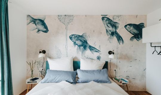 Rotes Haus Bregenz See Wohnung Rotes Haus Bregenz See Wohnung