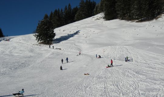Rodeln in Götzis Rodeln in Götzis