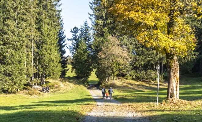 Bödele Herbstspaziergang