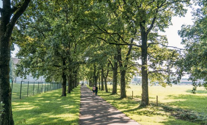 Kloster Mehrerau Bregenz Kloster Mehrerau Bregenz