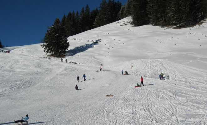 Rodeln in Götzis Rodeln in Götzis