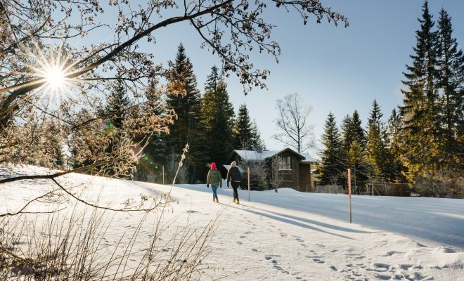 Winterwandern im Schnee bei Sonne am Bödele