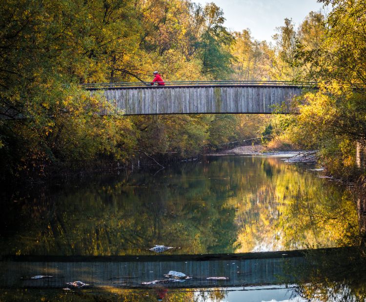 Dornbirner Ach Dornbirner Ach