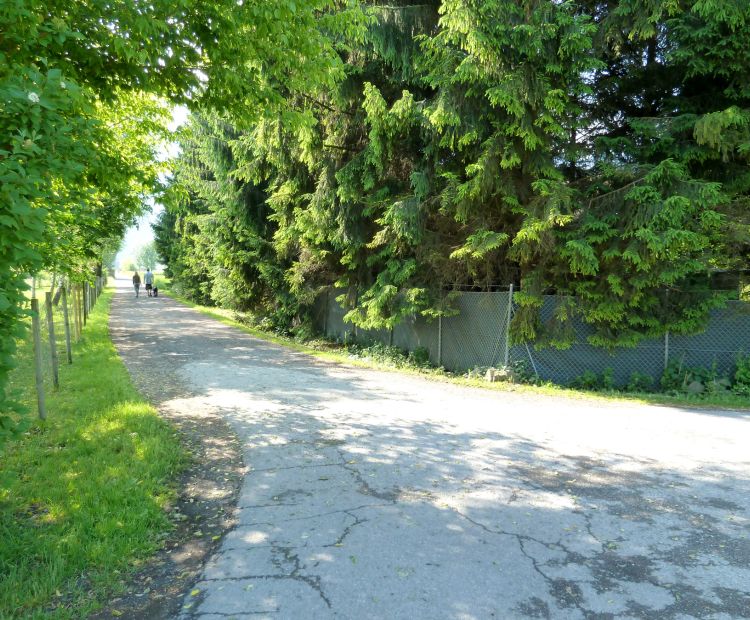 Eine kurze Schotterwegstrecke Eine kurze Schotterwegstrecke