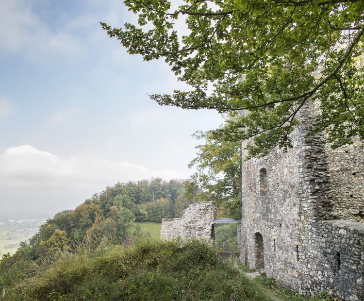 Ruine Alt-Ems Ruine Alt-Ems