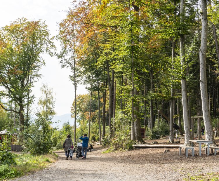 Wildpark Feldkirch Wildpark Feldkirch