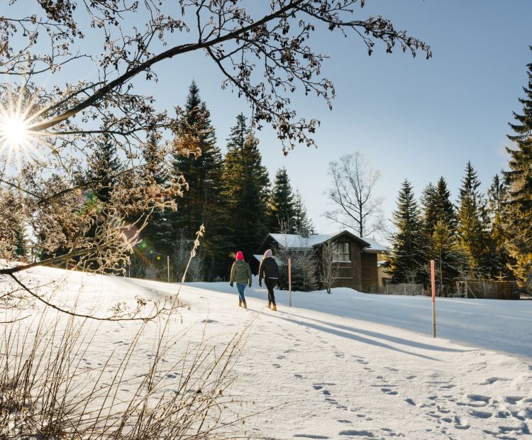 Winterwandern im Schnee bei Sonne am Bödele Winterwandern im Schnee bei Sonne am Bödele