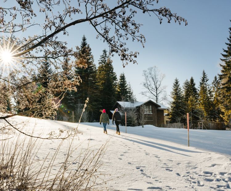 Unterwegs mit Bödele Birgit Steffi Unterwegs mit Bödele Birgit Steffi