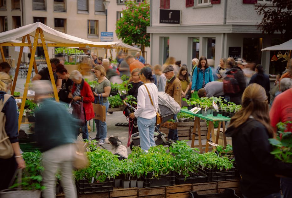 Bio-Jungpflanzenmarkt Bio-Jungpflanzenmarkt