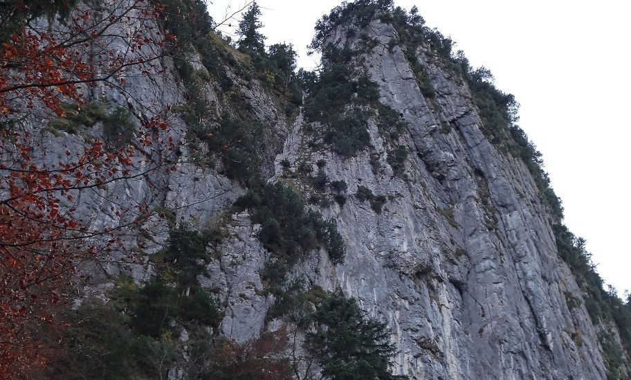 Tourismusbüro Hohenems .jpg.jpeg