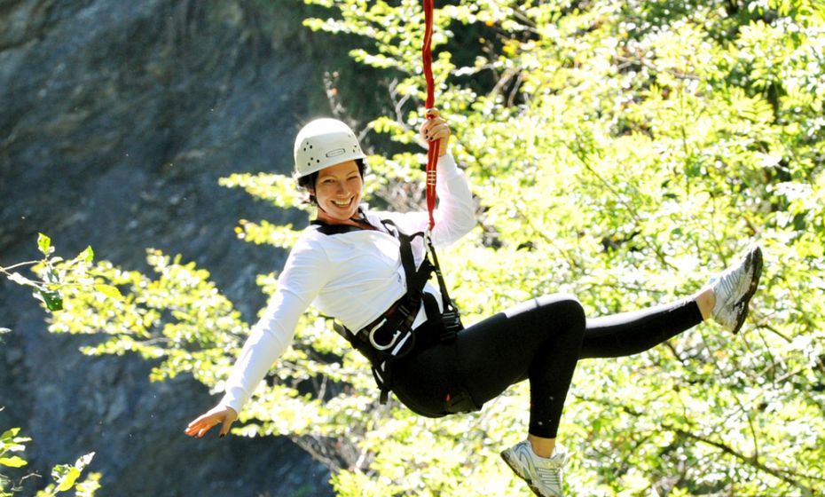 Flying Fox Flying Fox