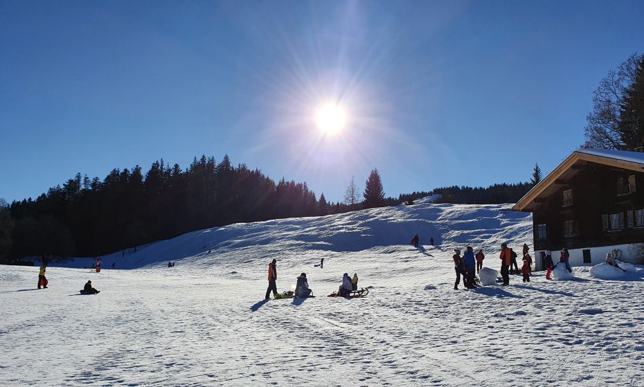Bödele Rodeln Bödele Rodeln