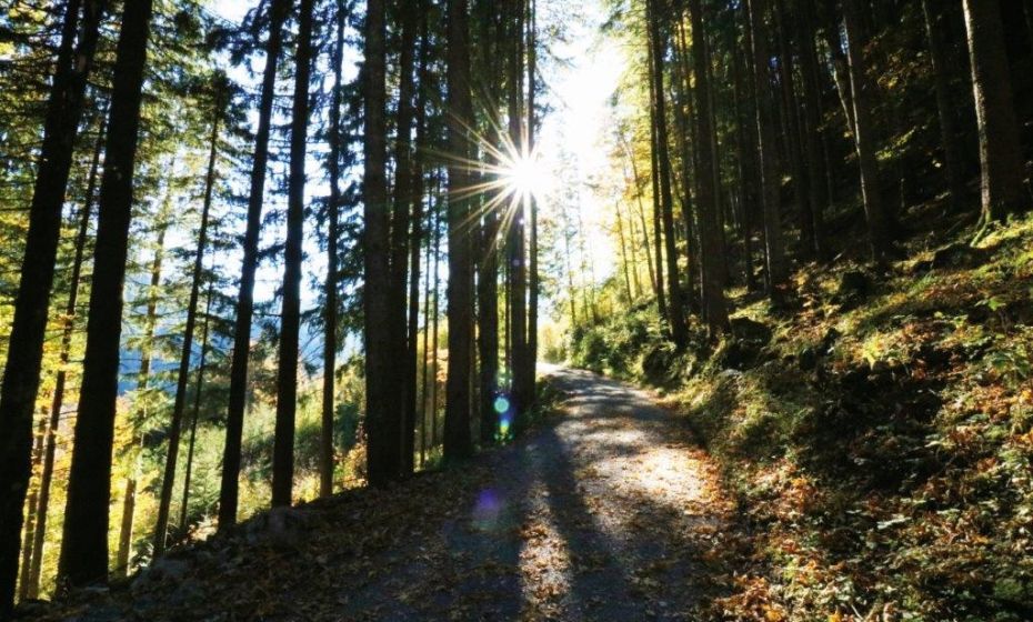 Dornbirn Tourismus & Stadtmarketing GmbH Karren - Staufenrunde