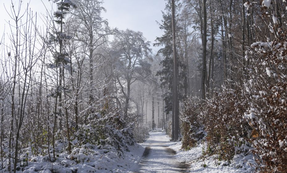 Wildpark Feldkirch Wildpark Feldkirch