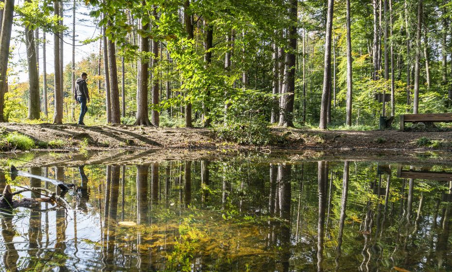 Wildpark Feldkirch Sautränke Wildpark Feldkirch Sautränke