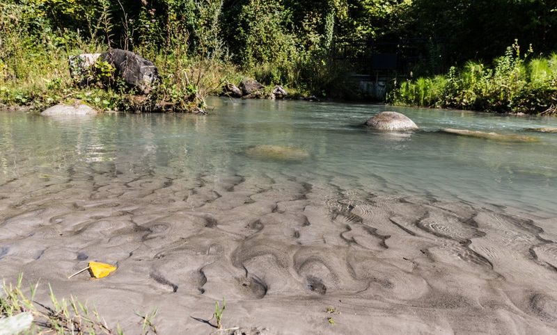 @ Nadine Jochum .jpg.jpeg