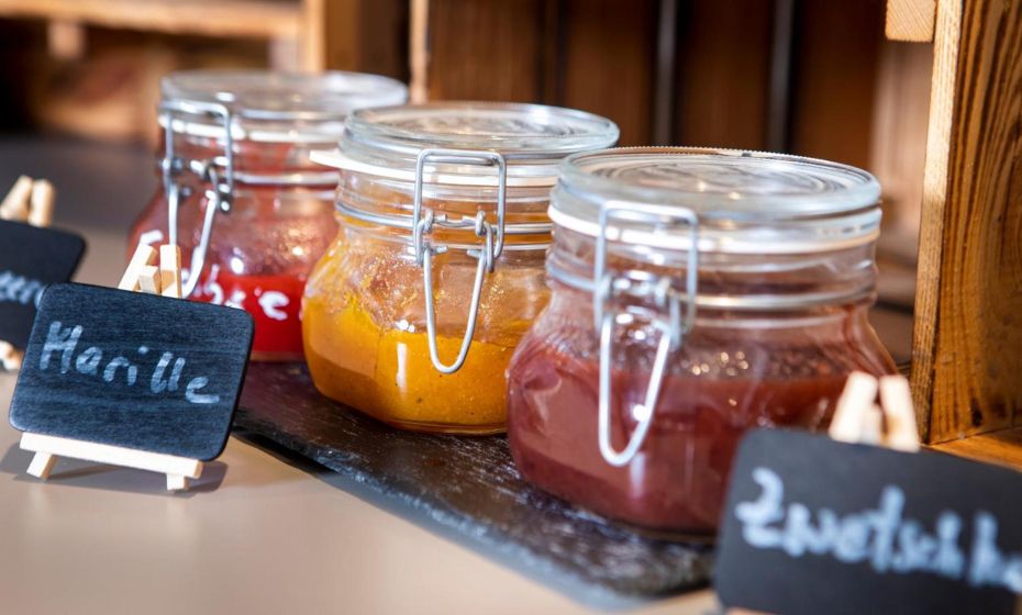 JUFA Hotel Bregenz JUFA Hotel Bregenz