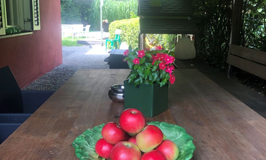 B&B Waltner, Dornbirn, Sitzplatz Pergola B&B Waltner, Dornbirn, Sitzplatz Pergola