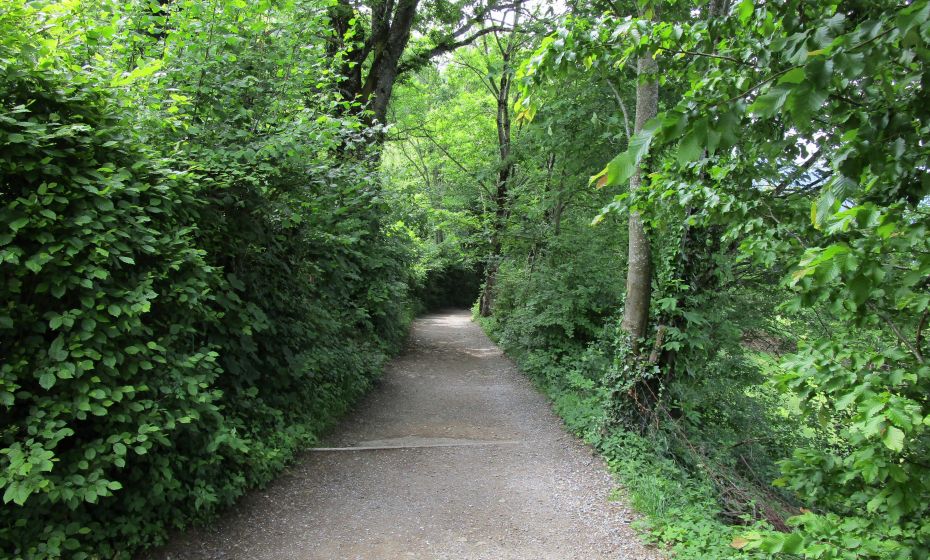 Erich Zucalli - Erich Zucalli / www.guideservice.at Der Gschliefweg führt teilweise sanft Richtung Tal, ...