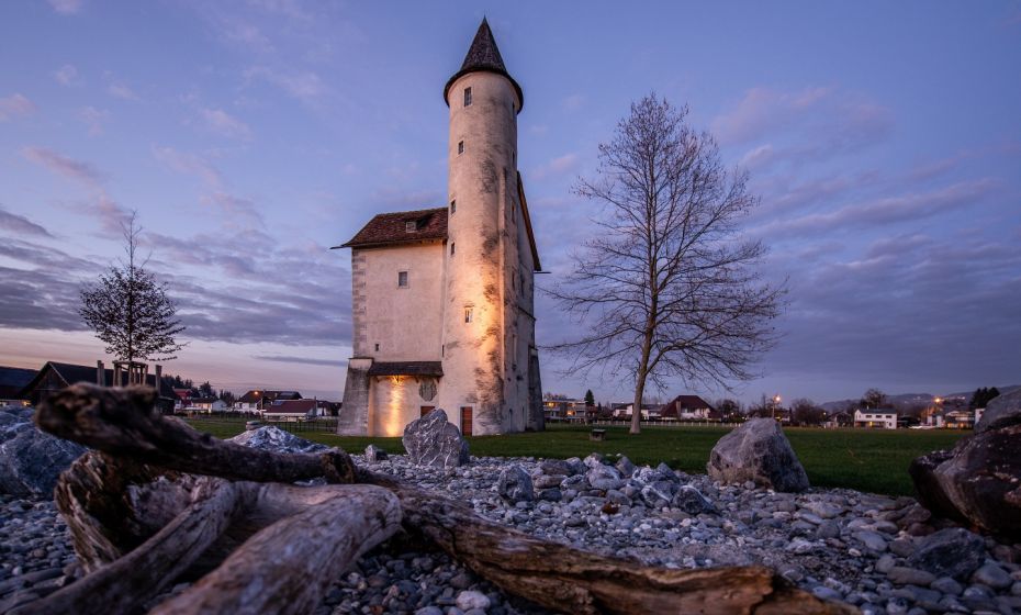 Friedrich Böhringer - commons.wikimedia.org Mittelweiherburg Hard