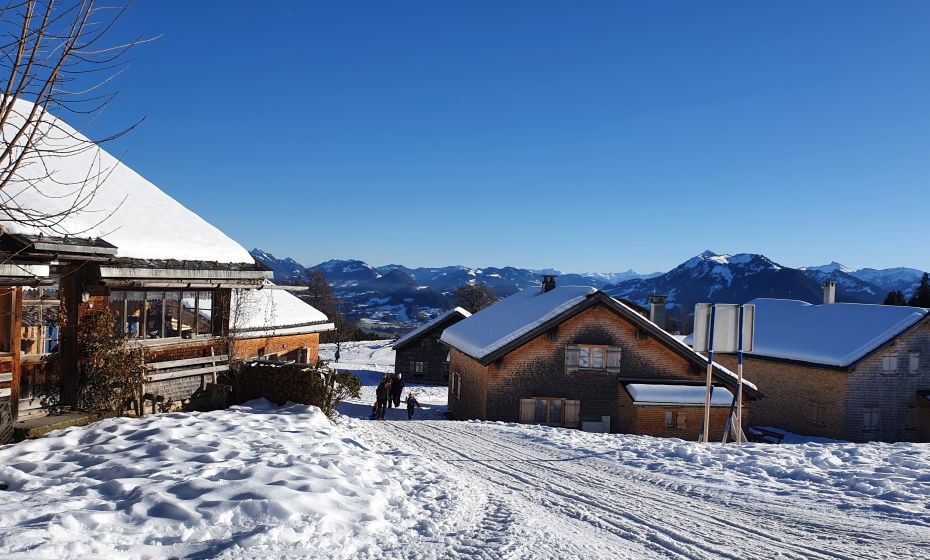 Bödele Rodeln Bödele Rodeln