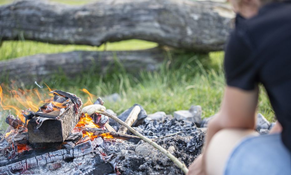 Grillen am Rohrspitz Grillen am Rohrspitz