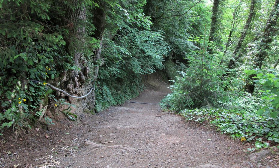 Erich Zucalli - Erich Zucalli / www.guideservice.at ... dann wieder so steil, dass mit einem Seil für Unsichere eine Hilfe angeboten wird.