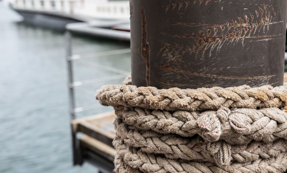 MS Ãsterreich MS Ãsterreich