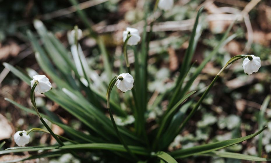 Naturpicknick Ãrflaschlucht Naturpicknick Ãrflaschlucht