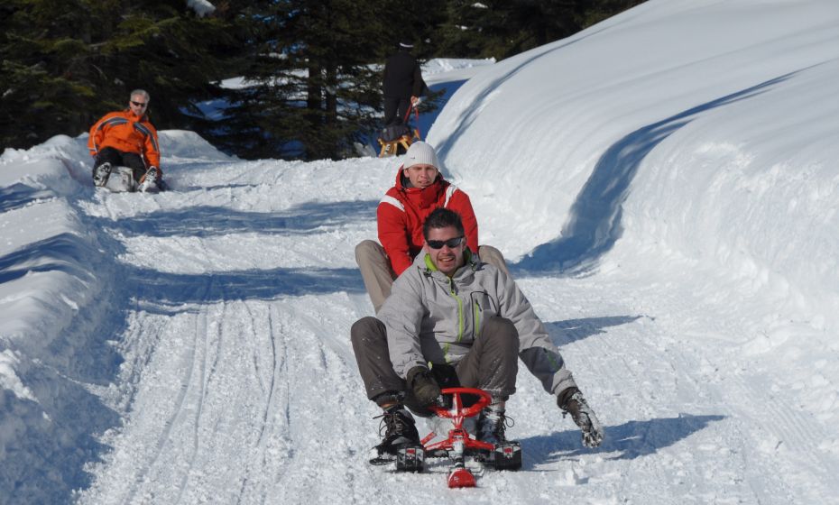 Rodeln in Laterns Rodeln in Laterns