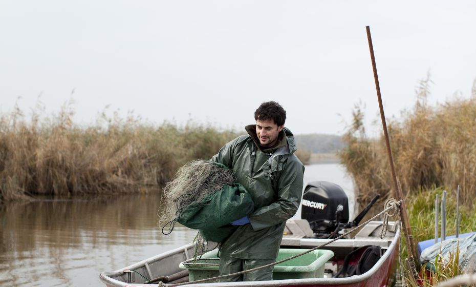 Fränzle´s Fränzle´s