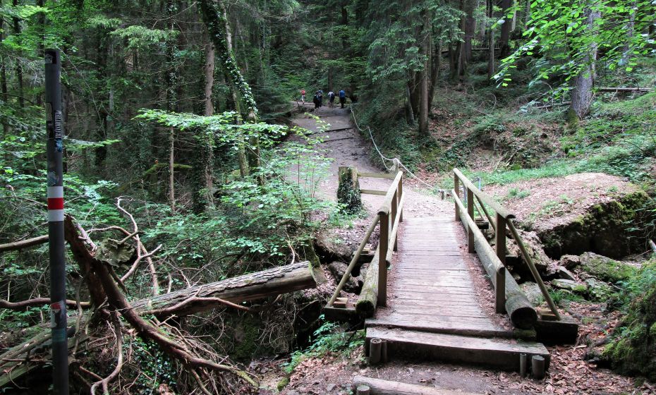 Erich Zucalli - Erich Zucalli / www.guideservice.at Holzbrücken müssen im feuchten Bergwald immer wieder instandgesetzt werden
