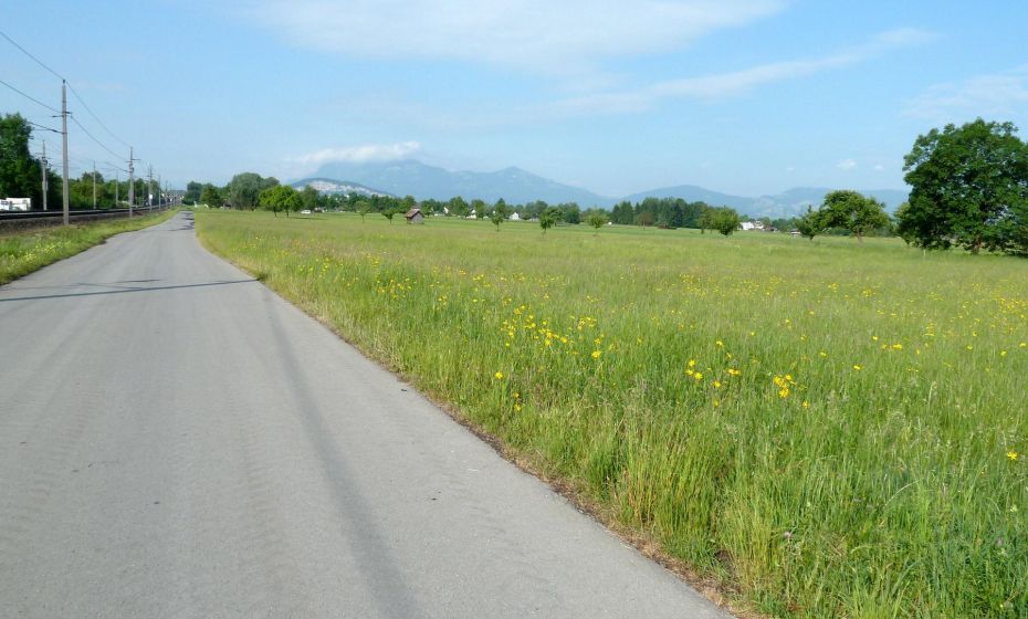 Der Radweg entlang der Bahnschienen Der Radweg entlang der Bahnschienen