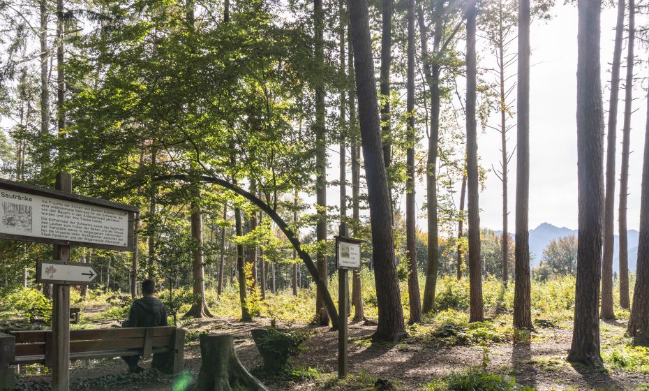 Wildpark Feldkirch Wildpark Feldkirch